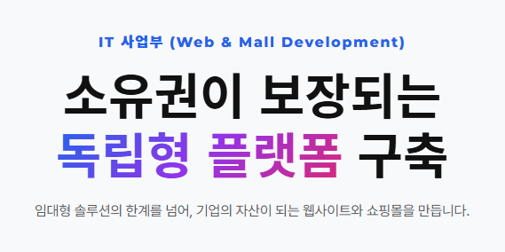 IT 사업부 (Web & Mall Development)